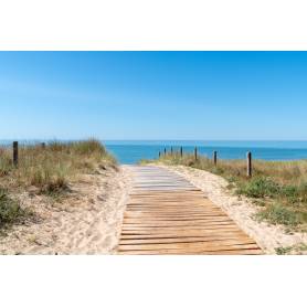 Chemin vers la plage